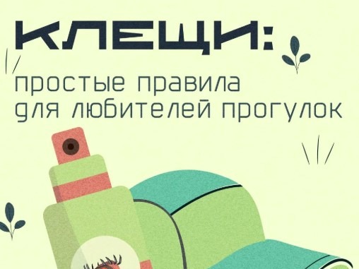 Вы же знаете, как выглядят эти паукообразые? Да-да, клещи – не насекомые, как считает большинство из нас.