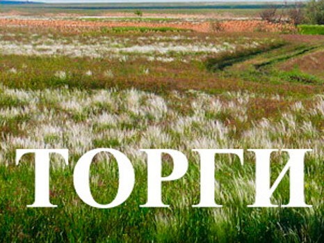 Объявлен электронный аукцион по продаже земельного участка.