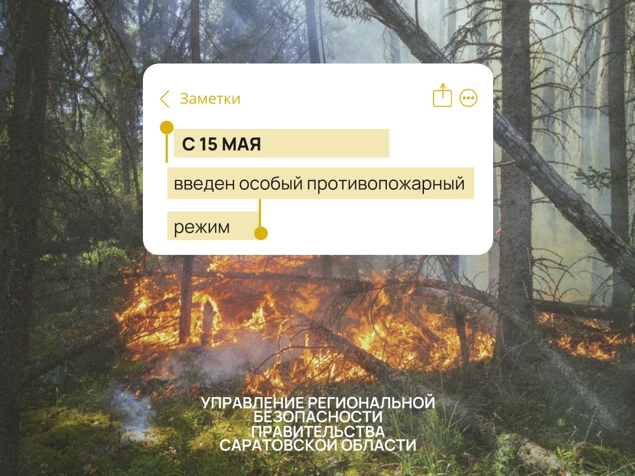 С 15 мая в Саратовской области введен особый противопожарный режим.