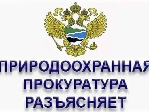 Саратовская межрайонная природоохранная прокуратура разъясняет изменения, внесенные в природоохранное законодательство.