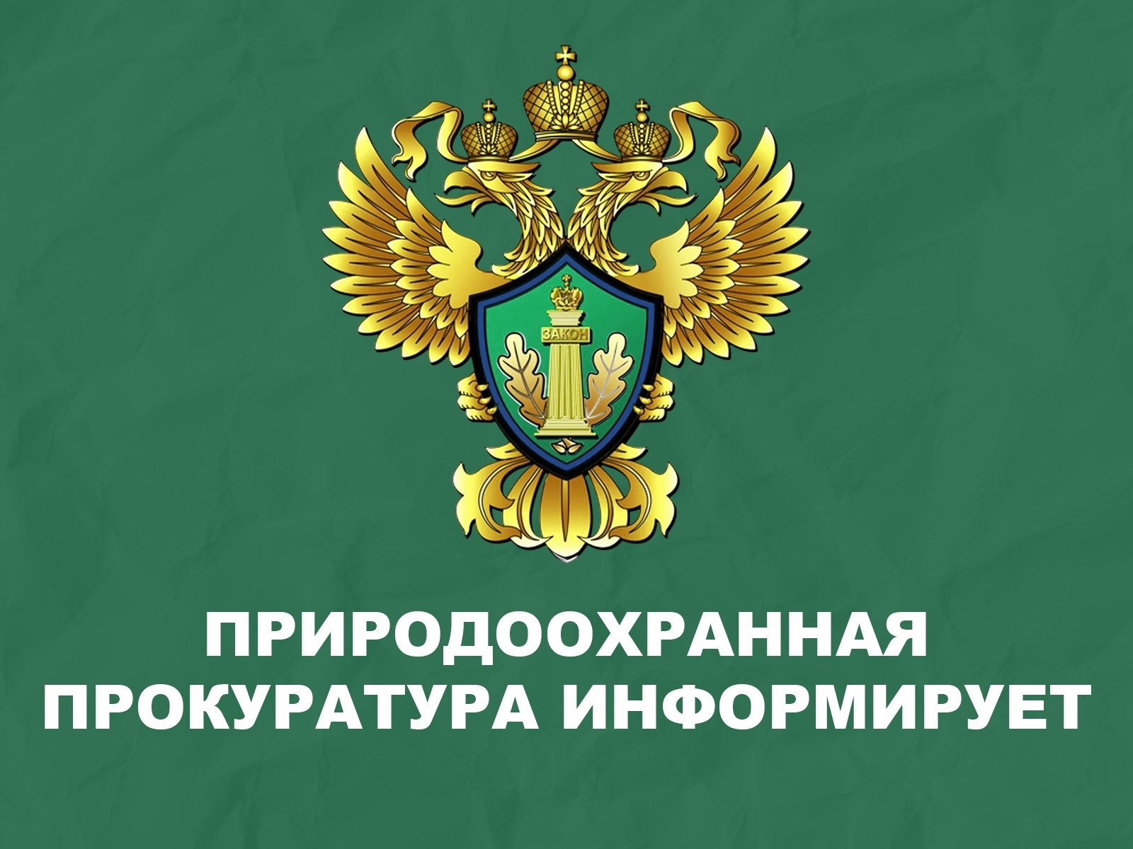 Саратовская межрайонная природоохранная прокуратура разъясняет изменения, внесенные в лесное законодательство.