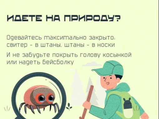 Вы же знаете, как выглядят эти паукообразые? Да-да, клещи – не насекомые, как считает большинство из нас.